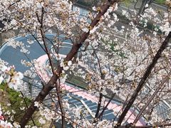 -幕燕滨江·长江观音景区