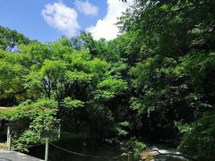 -本溪汤沟绿石谷森林公园