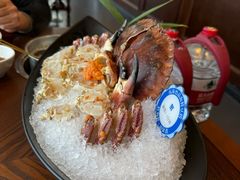 -东海怡品海鲜豆捞(舟宿夜江店)