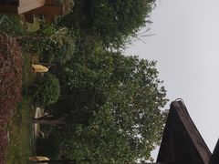 -咸宁万豪温泉谷度假区