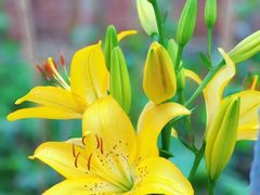 -东道煮牛肉火锅(东盛大街店)