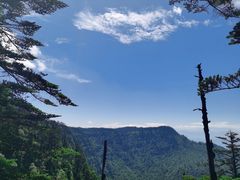 -瓦屋山景区