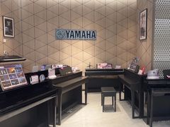 -知音艺术教育培训·钢琴培训·音乐培训(河西金鹰世界校区)