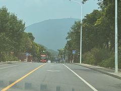 -大鹅岛灶台鱼·铁锅炖(水库路店)