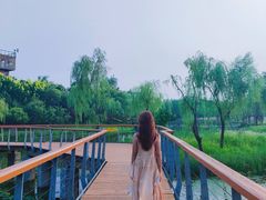 -东郊湿地公园