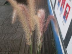 -徐亮烤蹄(建设路店)