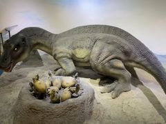 -国家自然博物馆