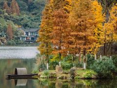 -重庆彩云湖湿地公园