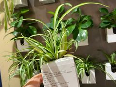 -MUJI无印良品(大悦城店)
