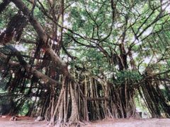 -胡里山炮台