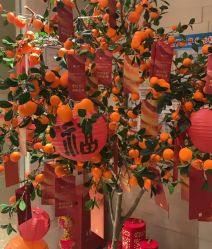 -丽妍雅集 Rubis SPA