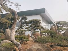 -罗红摄影艺术馆