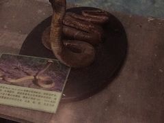 -下渚湖国家湿地公园科普馆