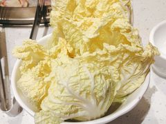 -木王宴语·野生鲜菌火锅(玉河店)