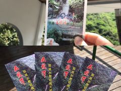 -宁波五龙潭景区