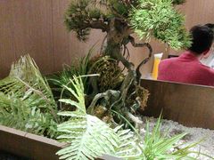 -湘邻呷铺·田园家宴(汉基广场店)