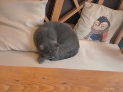 -初见咖啡(青大路店)