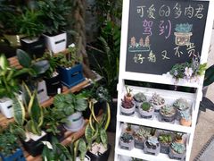-卓花境Flowerwonderland花店