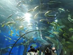 -福州罗源湾海洋世界旅游区