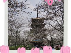 -东湖磨山景区