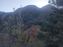 -阳台山自然风景区