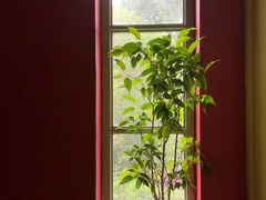 -旅马餐厅(茅家埠店)