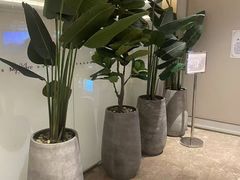 -广州天河体育中心美居酒店