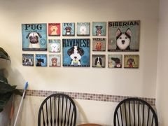 -多卡布奇宠物生活馆(上林世家店)