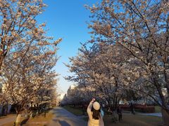 -新天地活力PARK