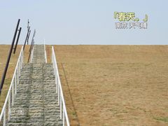 -佛手湖郊野公园