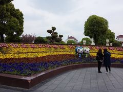 -七宝老街-闵行市民文化广场