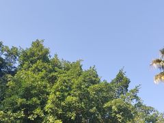 -鼓浪屿·皓月园