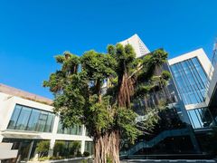 -白天鹅宾馆-健身中心