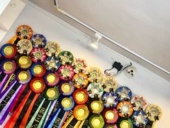 -青奢宠物·青奢猫舍