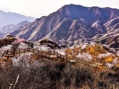 -大岭沟猕猴桃谷风景区