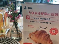 -gaga(深圳南山益田假日广场店)