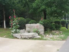-济南植物园