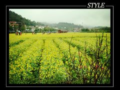-红山村