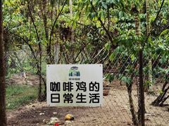 -兴隆隆苑咖啡庄园