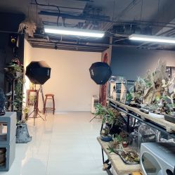 -周忆刺青原创设计定制