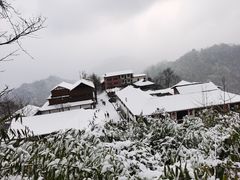 -青城山