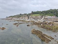 -养马岛旅游度假区