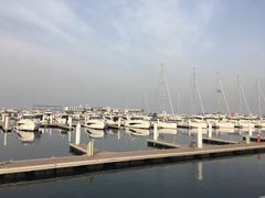 -东港音乐喷泉广场