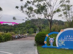 -飞凤山奥体公园