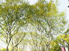 -莹珠阁·私房菜