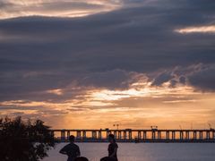 -宝安西湾红树林湿地公园