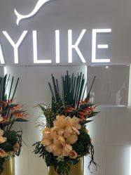 -深圳美莱医疗美容医院