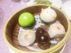 -宝燕壹号(徐汇店)