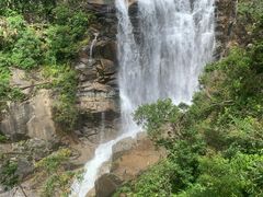 -海南热带雨林国家公园吊罗山景区