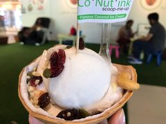 -Co+Nut+Ink(圣淘沙店)